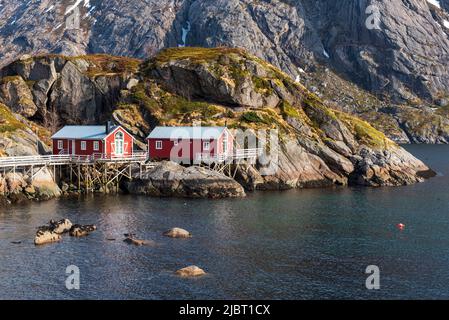 Norvegia, Nordland County, Isole Lofoten, Nusfjord, Porto Foto Stock