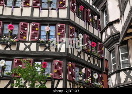 Francia, Alto Reno, Colmar, Rue des Marchands, case in legno, Finestra, decorazioni pasquali Foto Stock