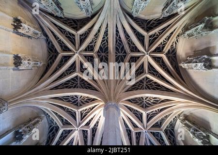 Francia, Parigi, Museo Cluny - Museo Nazionale del Medioevo, volta gotica Foto Stock