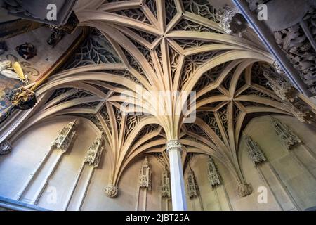 Francia, Parigi, Museo Cluny - Museo Nazionale del Medioevo, volta gotica Foto Stock