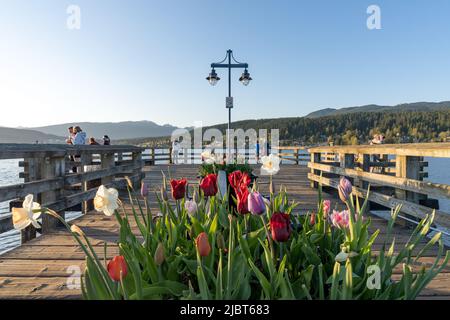 Rocky Point Park durante il tramonto. Lungo molo sull'oceano. Port Moody, British Columbia, Canada. Foto Stock