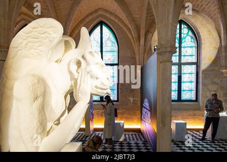 Francia, Parigi, il Collegio dei Bernardins, l'esposizione aumentata: Notre Dame de Paris Foto Stock