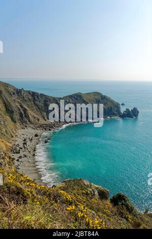 Francia, Manica, Cotentin, Cape Hague, Jobourg, Sennival Cove, vista di Nez de Jobourg da GR223 sentiero costiero Foto Stock