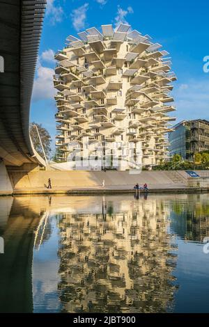 Francia, Herault, Montpellier, quartiere Richter, le rive del fiume Lez, l'Arbre Blanc, edificio progettato dal giapponese Sou Foujimoto e gli architetti francesi Nicolas Laisne et Manal Rachdi Foto Stock