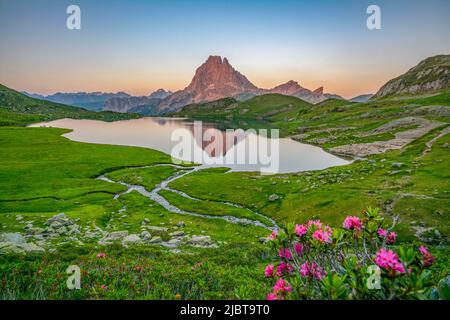 Francia, Pirenei Atlantici, Bearn, valle dell'Ossau, rododendri, Riflesso del Pic du Midi d'Ossau nel Lago Gentau al tramonto Foto Stock