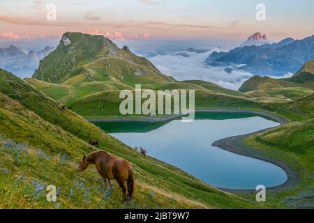 Francia, Pirenei Atlantici, Bearn, cavalli vista lago di Montagnon d'Iseye e Pic du Midi d'Ossau al tramonto Foto Stock