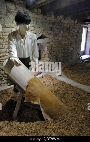 Francia, Giura, Dole, casa natale di Louis Pasteur, museo, la conceria del padre Foto Stock