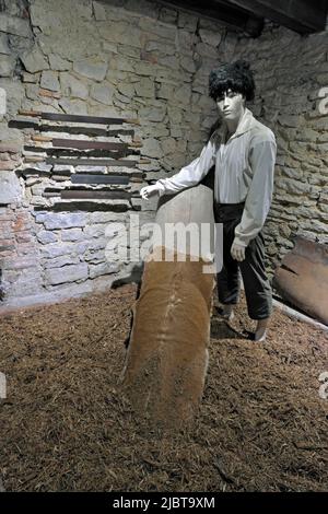 Francia, Giura, Dole, casa natale di Louis Pasteur, museo, la conceria del padre Foto Stock