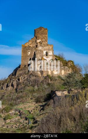 Francia, Haute Loire, Alagnon valle Foto Stock