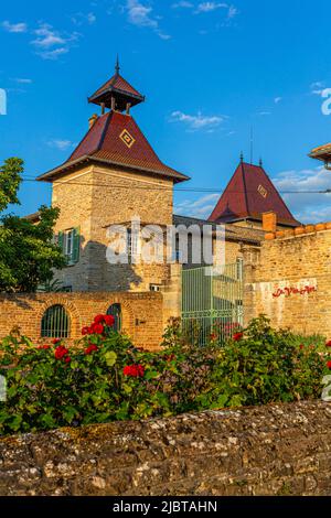 Francia, Saone-et-Loire, Milly-Lamartine, Maconnais vigneto proprietà Foto Stock