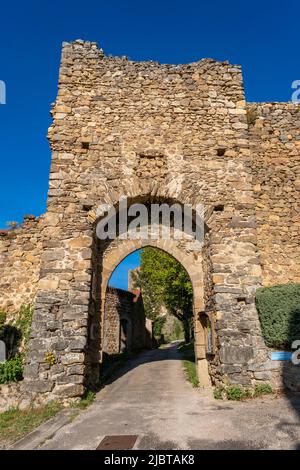 Francia, Haute Loire, Alagnon valle Foto Stock