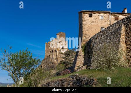 Francia, Haute Loire, Alagnon valle Foto Stock