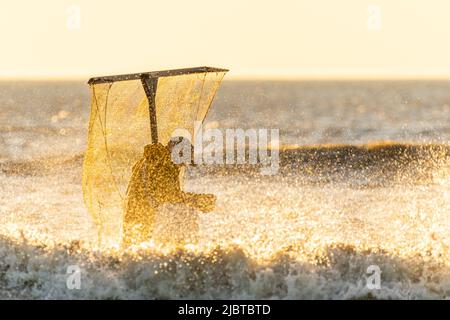 Francia, Somme, Ault, due ore prima della bassa marea, i pescatori vengono con la loro rete per pescare i gamberetti (crangon crangon) spingendo questa rete di fronte a loro e camminando lungo il mare di fronte Foto Stock