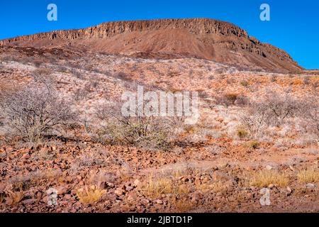 Namibia, regione di Kunene, Damaraland, Khorixas, paesaggio di deserto minerale Foto Stock