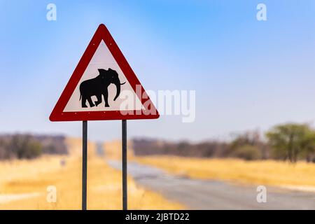 Namibia, regione di Kunene, Khorixas, cartello attenzione al pericolo, attraversamento di elefanti sulla strada C 39 Foto Stock