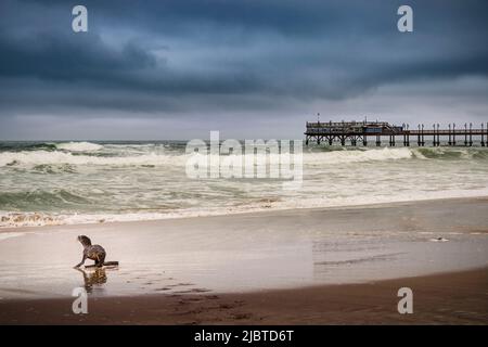 Namibia, Skeleton Coast, regione di Erongo, Swakopmund, Southern Fur Seal o Namibia Fur Seal o Cape Fur Seal (Arctocephalus pusillus) sulla spiaggia costiera in condizioni di tempesta Foto Stock