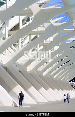 Spagna, Valencia, Città delle Arti e delle Scienze (Ciudad de las Artes y las Ciencias), complesso culturale progettato dall'architetto Santiago Calatrava, vista del Museo della Scienza di Príncipe Felipe (museo delle scienze naturali) Foto Stock