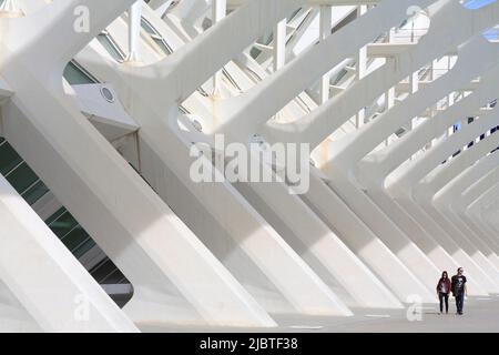 Spagna, Valencia, Città delle Arti e delle Scienze (Ciudad de las Artes y las Ciencias), complesso culturale progettato dall'architetto Santiago Calatrava, vista del Museo della Scienza di Príncipe Felipe (museo delle scienze naturali) Foto Stock