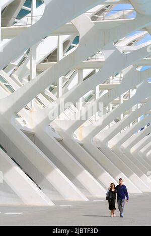 Spagna, Valencia, Città delle Arti e delle Scienze (Ciudad de las Artes y las Ciencias), complesso culturale progettato dall'architetto Santiago Calatrava, vista del Museo della Scienza di Príncipe Felipe (museo delle scienze naturali) Foto Stock