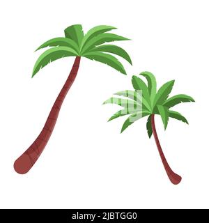 Alberi di palma isolati su sfondo bianco. Piante tropicali con foglie verdi. Illustrazione vettoriale piatta Illustrazione Vettoriale