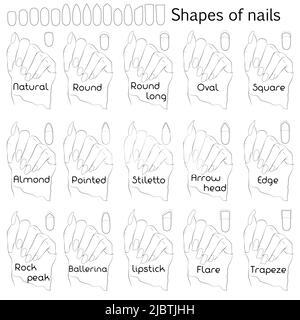 Forme di unghie. Illustrazione in bianco e nero per manicure professionale con nomi di forme. La differenza e la similarità delle forme sull'esempio di Illustrazione Vettoriale