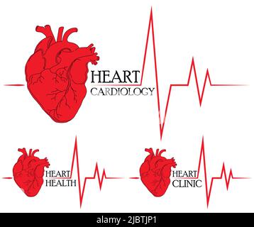 Disegno anatomico del cuore. Sfondo per brochure, opuscoli, volantini. Set di icone rosse del cuore per la clinica del cuore e il centro di salute del cuore. Illustrazione Vettoriale