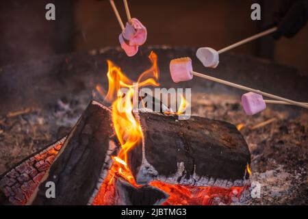 Tostatura di una marshmallow a fiamma libera al mercatino di Natale Hyde Park Winter Wonderland di Londra Foto Stock
