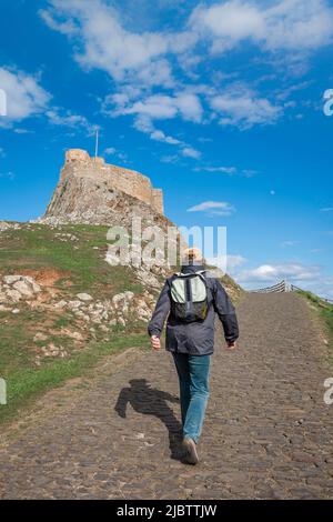 Donna che cammina da sola, vista posteriore di una donna che cammina intenzionalmente verso un castello in bel tempo, Holy Island, Lindisfarne, Northumberland, Regno Unito Foto Stock