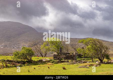 Cottage derelitto nel Connemara National Park, County Galway, Irlanda Foto Stock