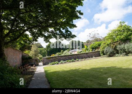 Bel giardino di verdure vecchio murato piantato in stile tradizionale per verdure fresche e frutta al Trengwainton National Trust Garden, Cornovaglia. Foto Stock