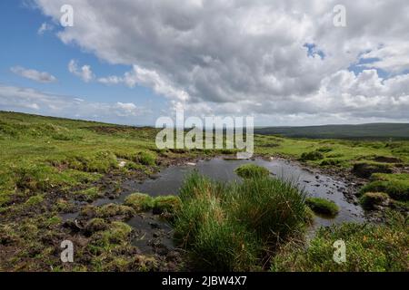 Tempo UK: 08 giu 2022, tempo modificabile, Dartmoor National Park, Devon, Regno Unito. Credit: Will Tudor/Alamy Live News Foto Stock