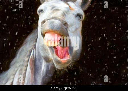 A Funny Looking Horse è risata con Confetti che piove in Painting Image Format Foto Stock