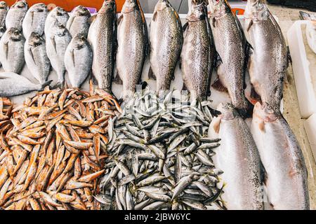 Salmone di mare fresco, Anchovy Fish europeo e Mullus in mostra sul ghiaccio nel negozio del mercato. Pesce di mare sfondo. Il salmone è una specie abbastanza di Foto Stock