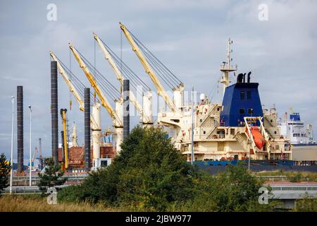 Terminal marittimo del porto merci, gru portuali di sollevamento e container marittimi nel porto merci. Foto Stock