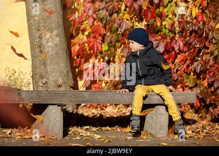 Ritratto autunnale all'aperto di ragazzo triste carino, con cappuccio blu che indossa giacca nera, in autunno parco, seduto sulla panchina, foglie rosse in caduta in backgroun Foto Stock