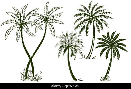 Set con palme disegnate a mano in stile schizzo. Illustrazione per la pubblicità di viaggi estivi. Isolato su sfondo bianco. Vettore. Illustrazione Vettoriale