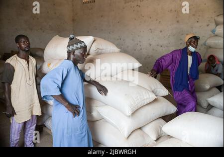SENEGAL, Kaolack, Medina Sabakh vicino Gambia, magazzino comunitario nel villaggio di Loyene, deposito di grano per periodi di scarsità di cibo / Gemeinschaft Getreidespeicher in Loyene, von der Caritas gefördert Foto Stock