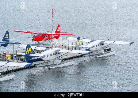 Harbour Air Seaplani, De Havilland Otters, Vancouver, British Columbia, Canada Foto Stock