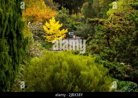 Intorno a Hobart - Giardini Botanici reali della Tasmania Foto Stock