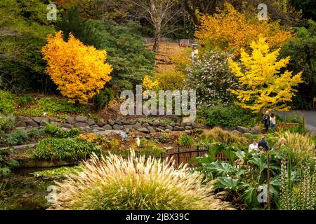 Intorno a Hobart - Giardini Botanici reali della Tasmania Foto Stock