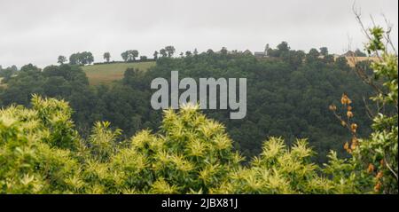 Paesaggio panoramico in Aveyron Francia Foto Stock