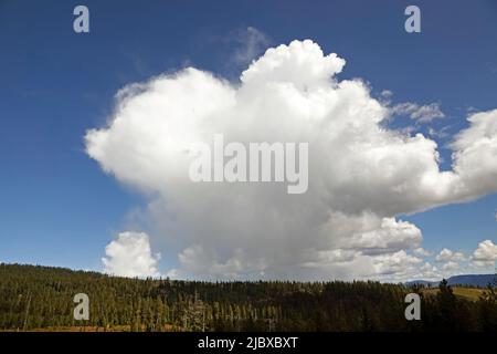 Una gigantesca nube di cumulo-nimbus si forma sulle Cascade Mountains nell'Oregon centrale. Foto Stock