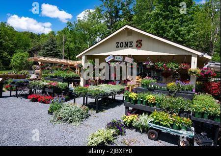 Zona 3 Paesaggio Centro per l'infanzia in ingresso, New York STATI UNITI D'AMERICA offre ricca di impianti per il clima Adirondack. Foto Stock