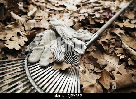 Vecchio rastrello e guanti da giardinaggio disgustato sulla parte superiore di foglie d'autunno marroni Foto Stock