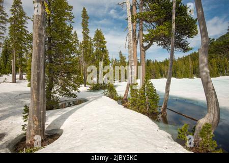 La neve si scioglie intorno agli alberi e al lago in Sky Lakes Wilderness Foto Stock