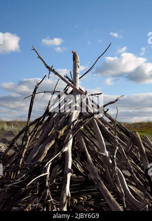 Capanna fatta di legno di driftwood sulla spiaggia Foto Stock