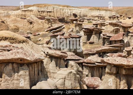 colline color oliva. L'acqua in questa zona è scarsa e non ci sono sentieri; tuttavia, la zona è panoramica e contiene colori tenui raramente visto altrove Foto Stock