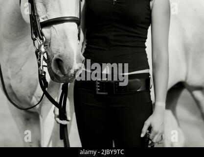 Metà sezione ripresa della giovane donna in piedi accanto al suo cavallo bianco - Bianco e nero Foto Stock