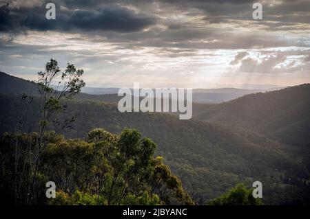 I raggi del sole dai cieli tempestosi splendono sulle colline della macchia australiana nativa - il Monte Tamborine Foto Stock