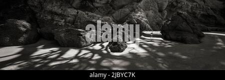 Panorama di ombre di rami di albero su sabbia di fronte alla scogliera rocciosa faccia Foto Stock